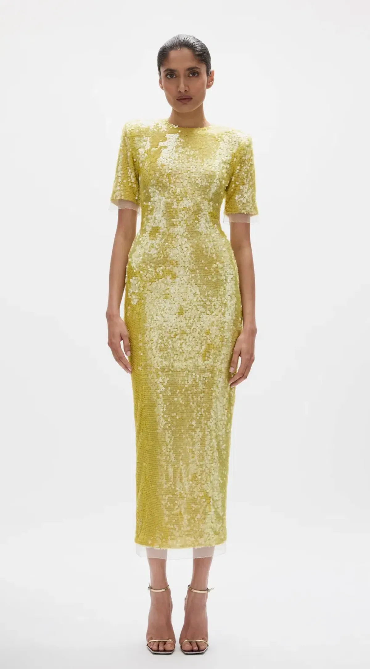 Rachel Gilbert Kaia Sleeve Dress - worn once for rent on The Volte - main image
