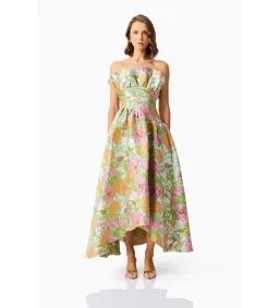 Elliatt Laurel Sleeveless Maxi Dress in Green Floral Size 10 for rent on The Volte - image 1