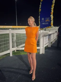 Acler - Grindale Mini Dress for rent on The Volte - image 5