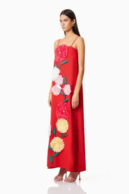 Elliatt Buttercup Embroidered Maxi Dress in Red Size 12 for rent on The Volte - image 2