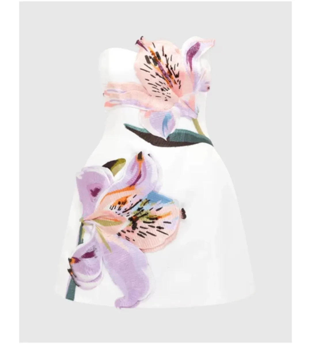 Leo Lin Rosario Appliqué Floral Bustier Mini Dress Lily Print in Snow Size 12 for rent on The Volte - main image