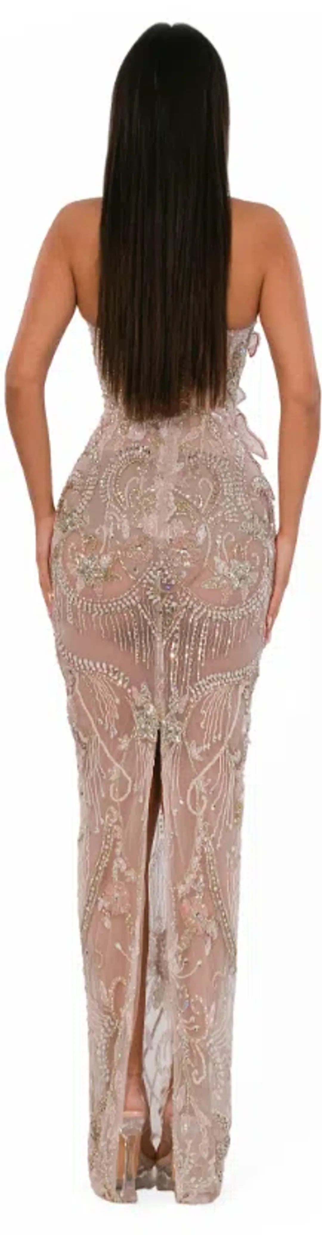 ALBINA DYLA  POWDER SHEER FLORAL CRYSTAL GOWN SIZE M for rent on The Volte - main image