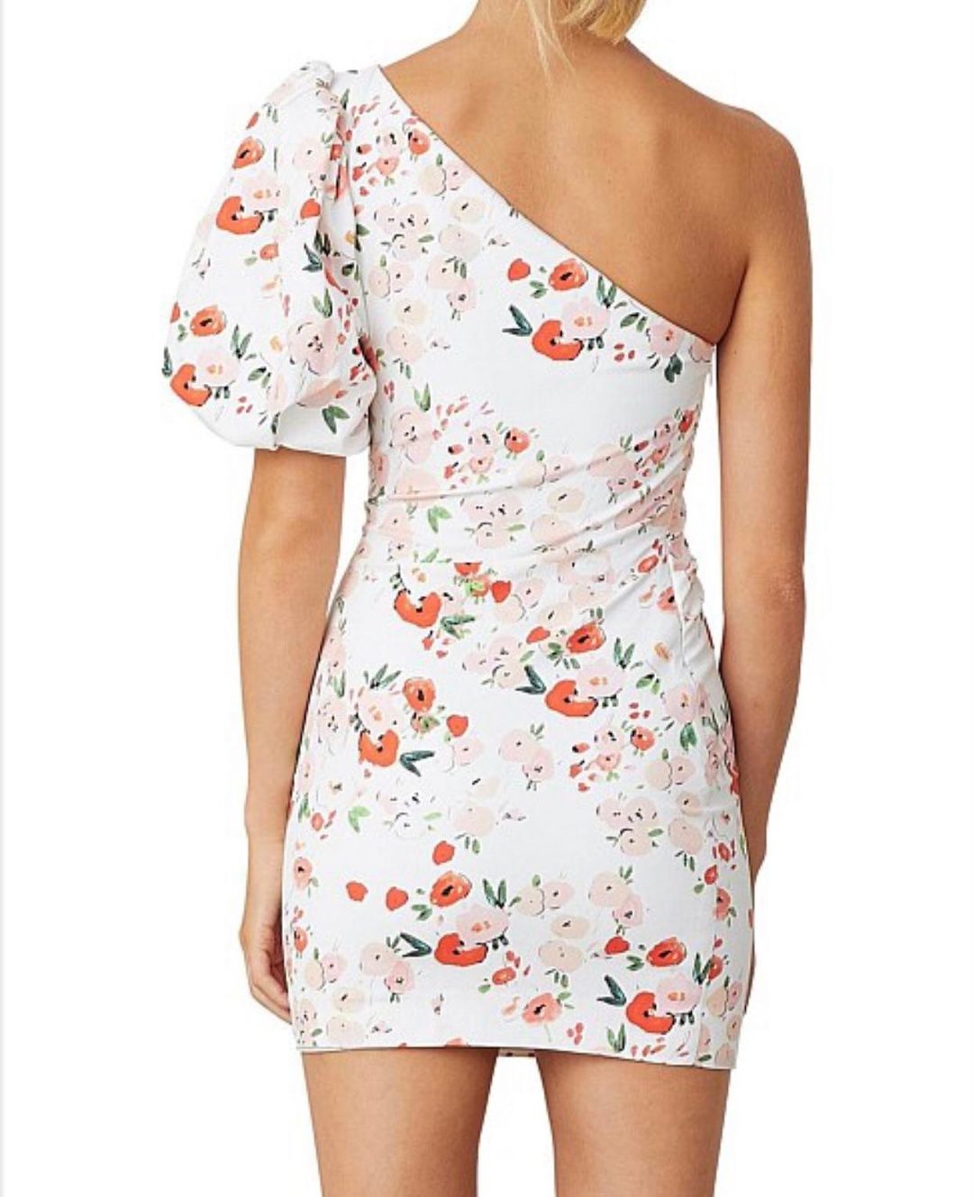 Bec & Bridge Garden Party Mini Dress Size 6 for rent on The Volte - main image