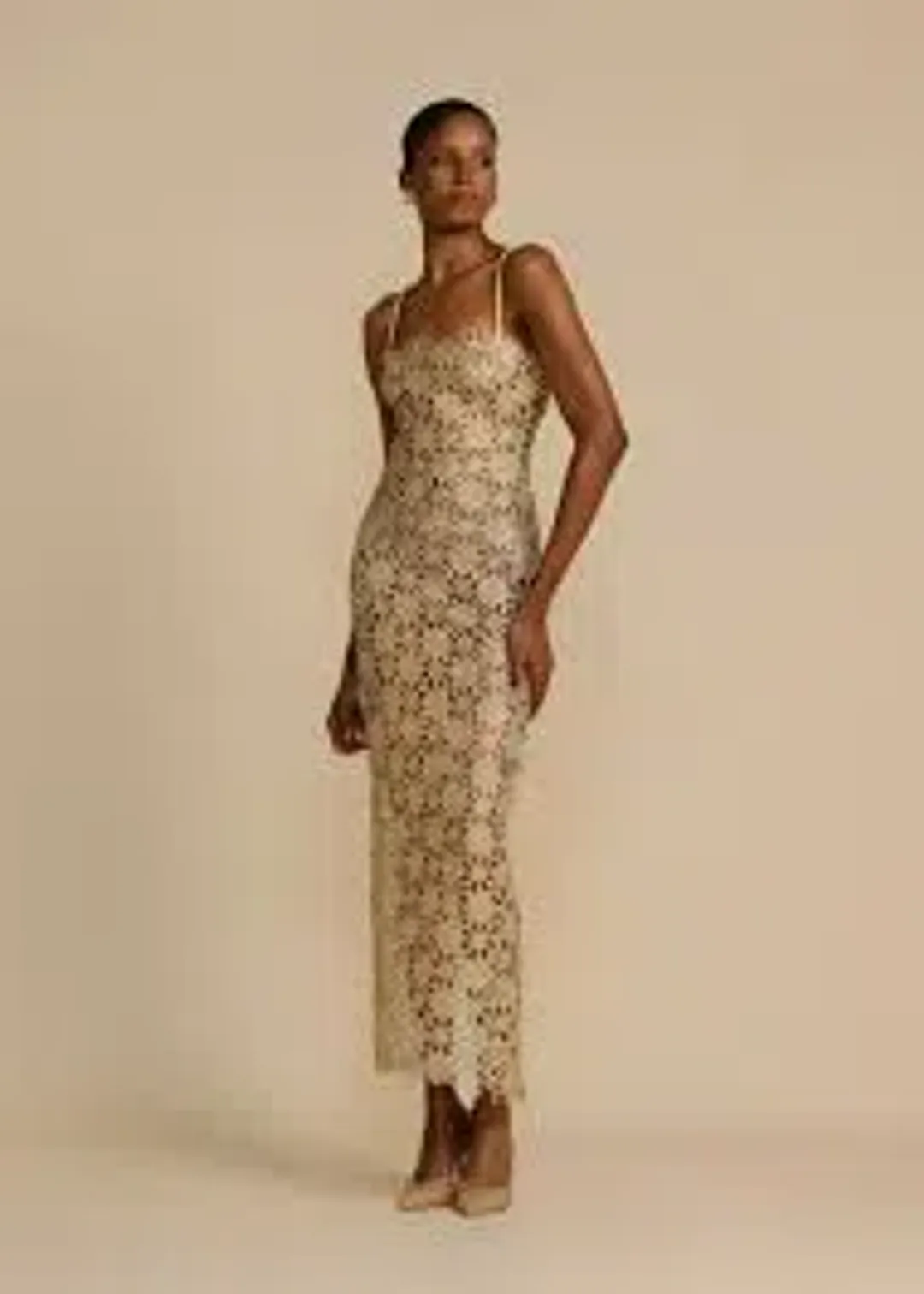Arcina Ori Kendra dress maxi size small for rent on The Volte - main image