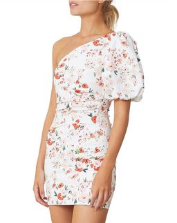 Bec & Bridge Garden Party mini dress, size 10 for rent on The Volte - image 2