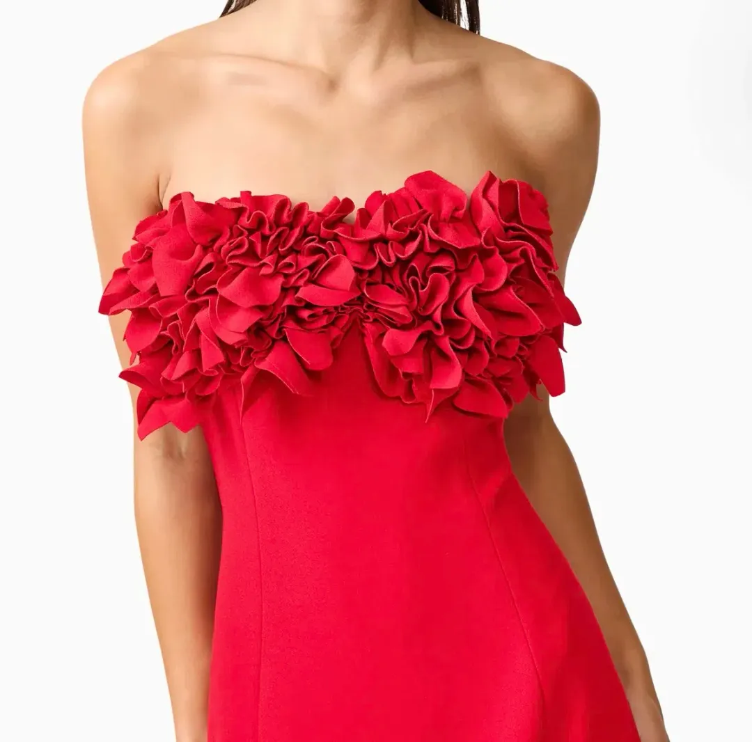 ELLIATT Lila fitted red midi dress  for rent on The Volte - main image