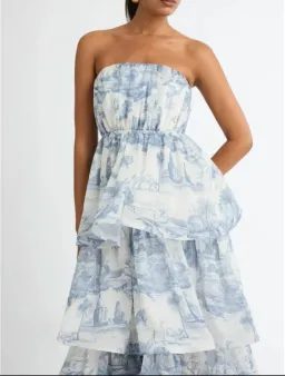 Sheike Sanctuary print dress  for rent on The Volte - image 5