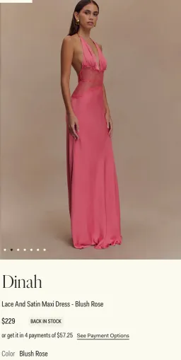 Dinah Lace And Satin Maxi Dress Blush Rose size 6 for rent on The Volte - image 3
