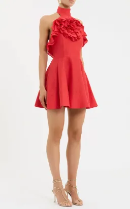Pastèque Mini Dress for rent on The Volte - image 1
