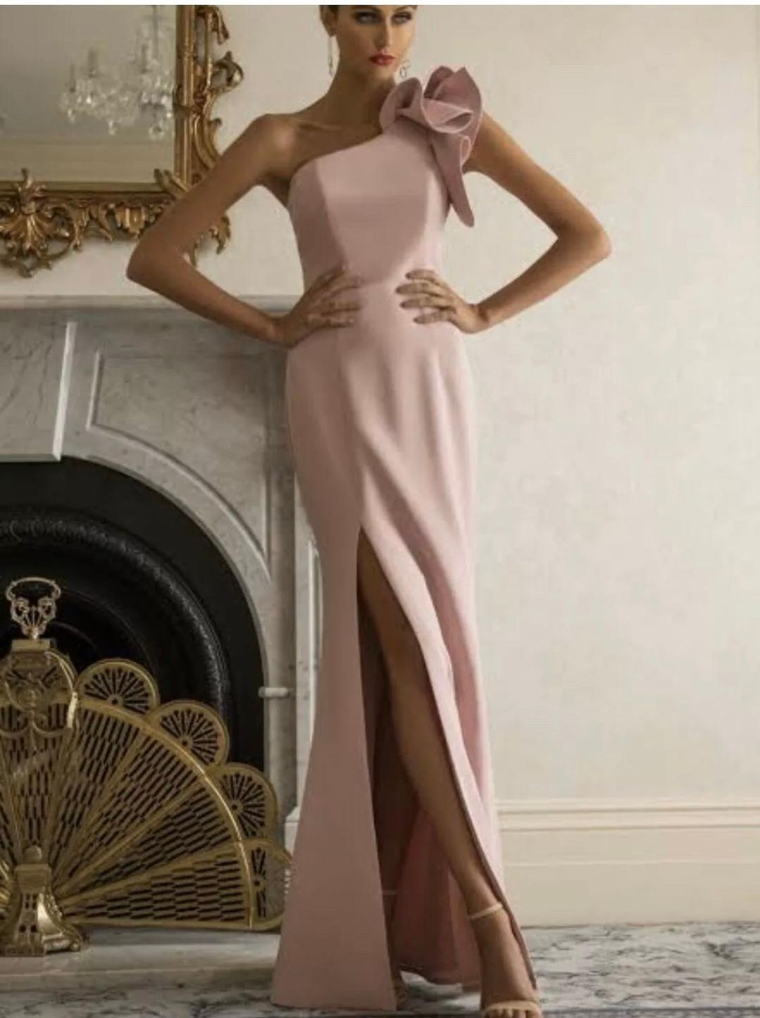 Bariano Pink Blush Long Dress for rent on The Volte - main image