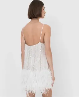 Rachel Gilbert Kenzie Mini Dress Size 2 (AU 10)  for rent on The Volte - image 3