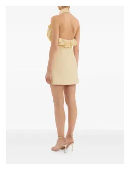 Rebecca Vallance Aubriella Mini Dress Size S (AU 8) for rent on The Volte - image 3