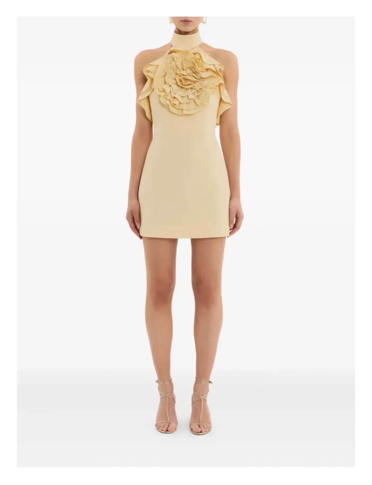 Rebecca Vallance Aubriella Mini Dress Size S (AU 8) for rent on The Volte - main image