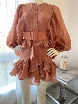 Charlotte Draped Mini Dress- Desert Rose for rent on The Volte - image 3