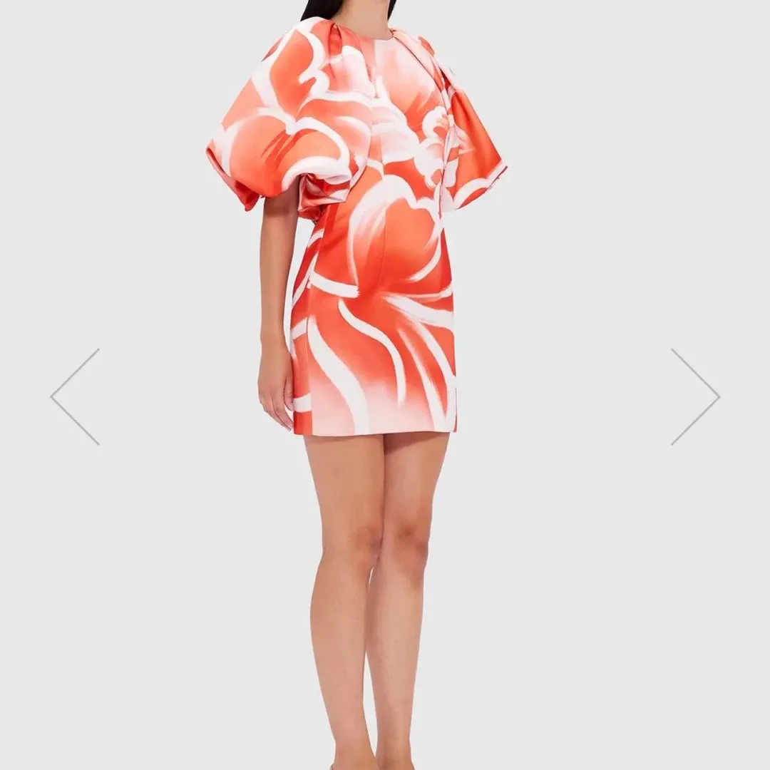 Leo Lin Arabella Puff Sleeve Mini Dress Ruyi Print Size AU 14 for rent on The Volte - main image