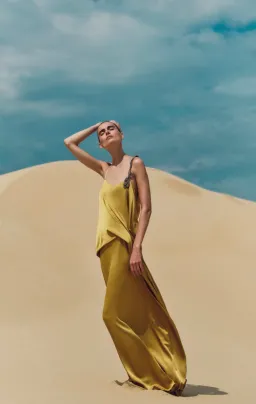 Rachel Gilbert Oryx Gown Miss for rent on The Volte - image 7