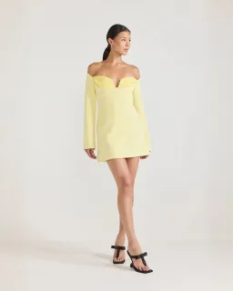 Lilosa Mini Dress for rent on The Volte - image 3