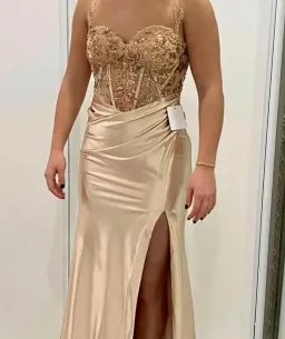 Cinderella Divine Dress Rose gold for rent on The Volte - image 5