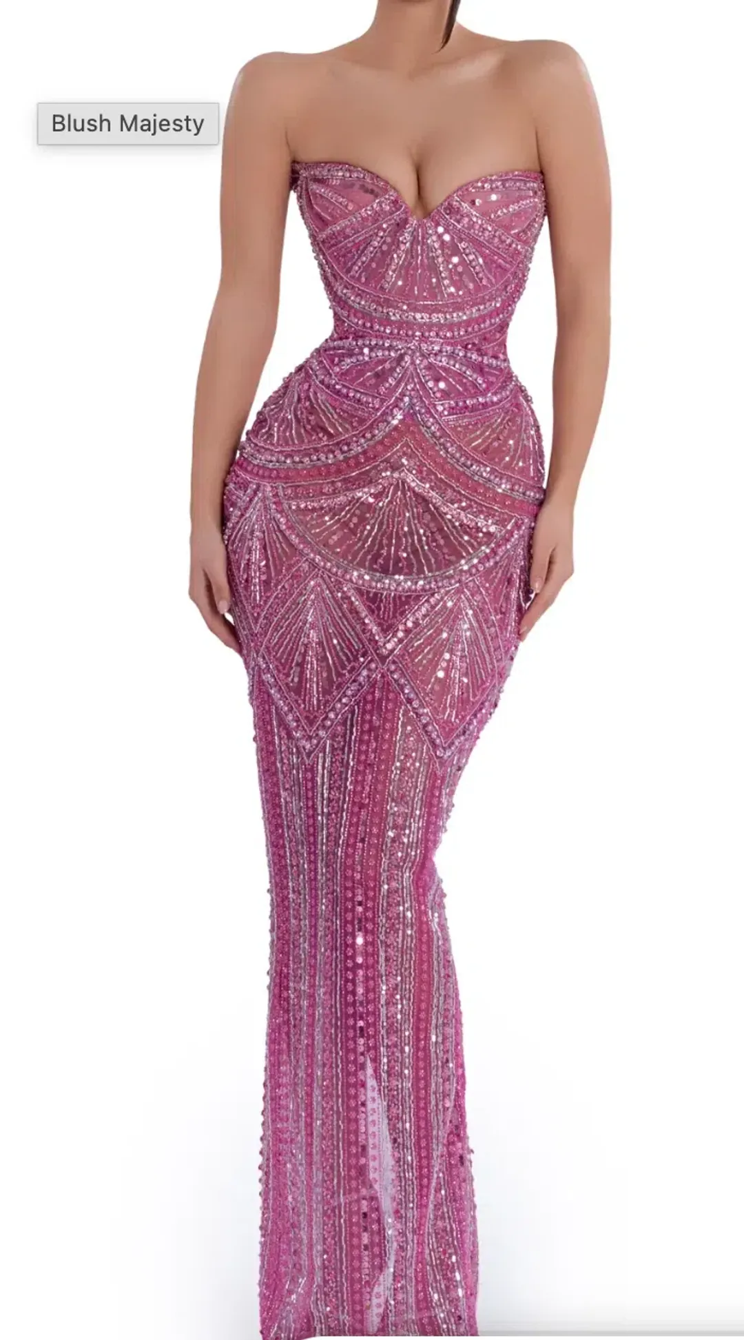 Albina Dyla Blush majesty Dress Size S for rent on The Volte - main image