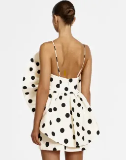 Ketch Mini Dress for rent on The Volte - image 2