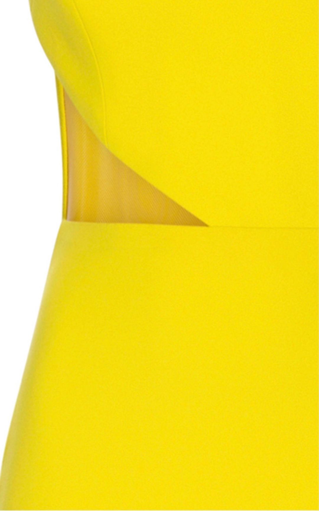 Alex Perry Serena Gown Yellow Size 8 for rent on The Volte - main image
