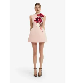 Leo Lin Ali Embroidered Boat Neck Mini Dress in Reverie Print Nectar Size AU12 for rent on The Volte - image 1