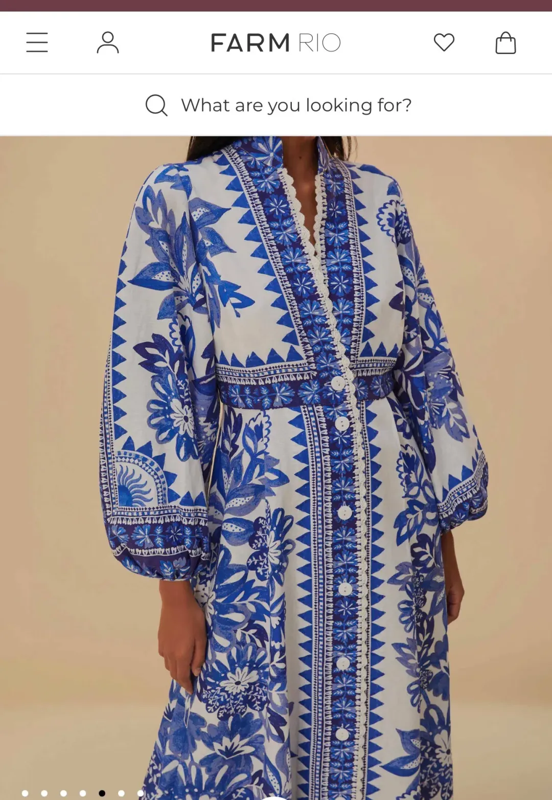Farm Rio Tapestry linen Dress for rent on The Volte - main image