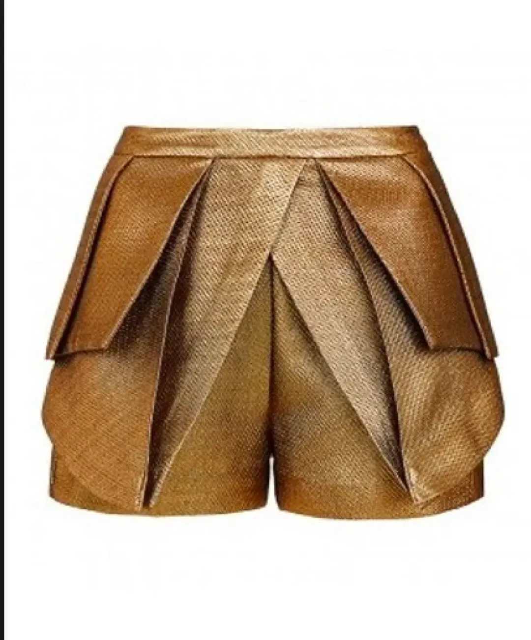 The Art Scene Jacket + The Literary Hero Shorts for rent on The Volte - main image