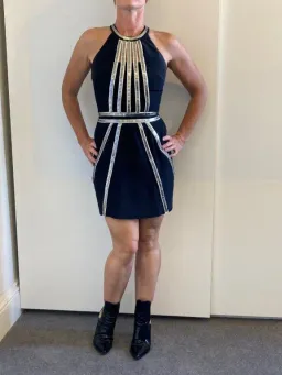 Sass & Bide The Top D Dress Black Size 8 for rent on The Volte - image 2