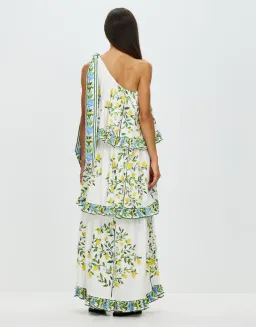 Binny You & Me in Capri Maxi Dress Print Size 12 for rent on The Volte - image 3