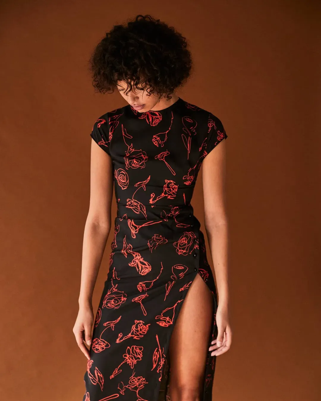 Amlul Roses Dress Black  Size 8 for rent on The Volte - main image