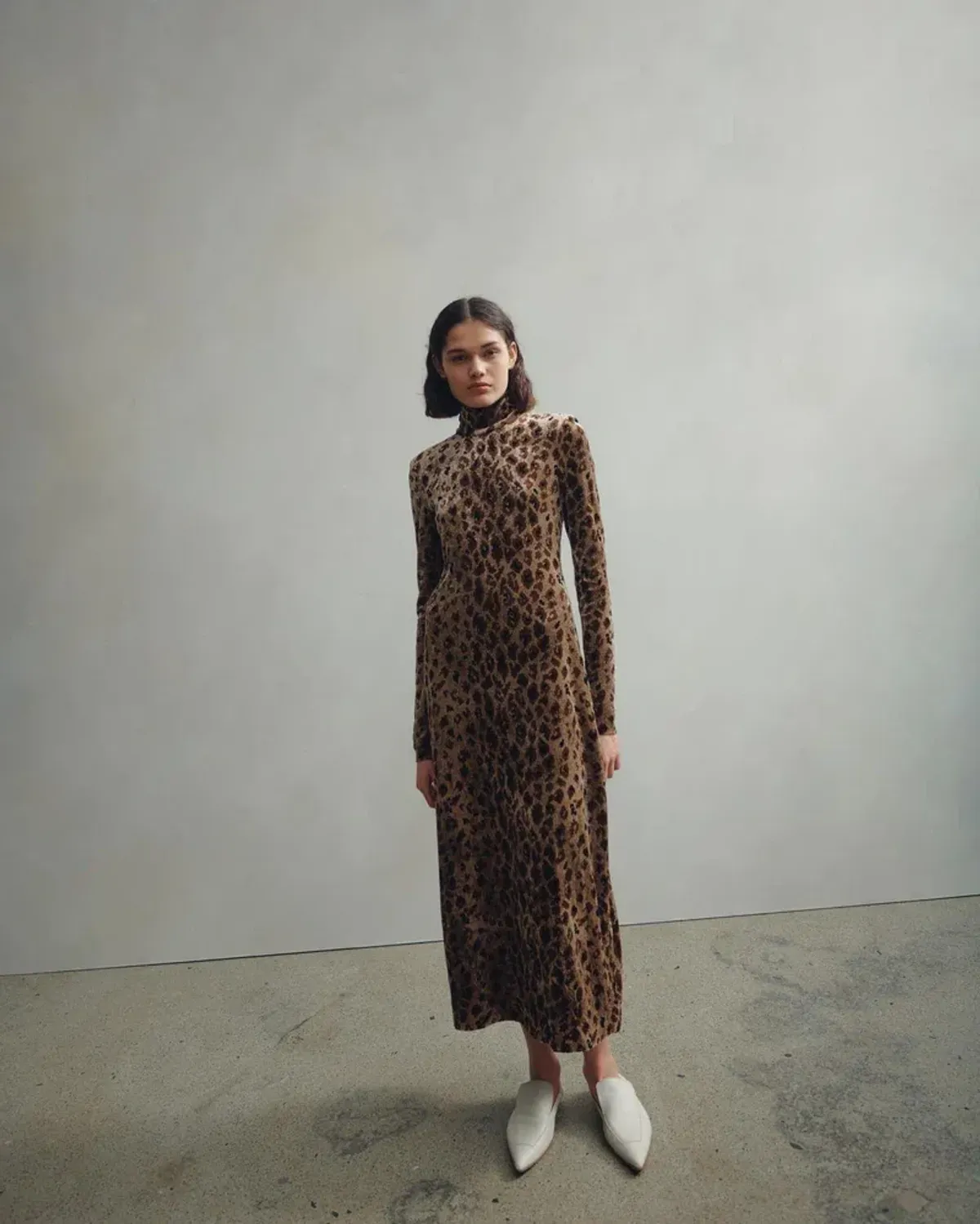 Camilla and Marc Basie Dress Print Size 6 for rent on The Volte - main image