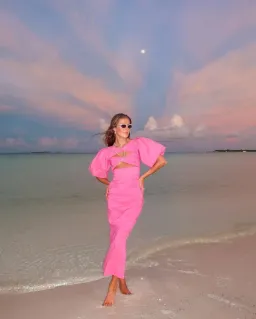 Rachel Gilbert Dahli Dress in Pink Size 3/AU12 for rent on The Volte - image 1
