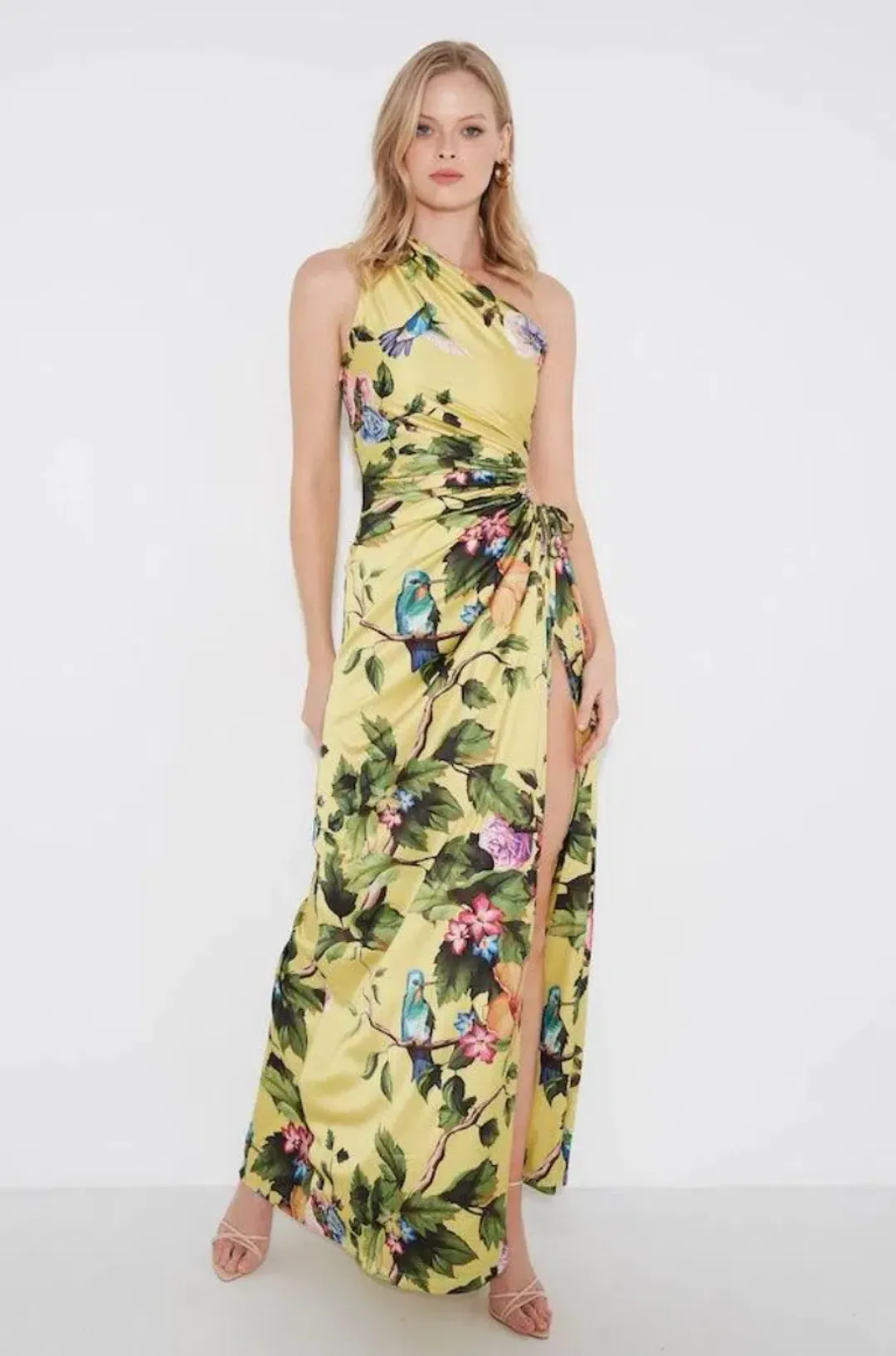 Sonya Moda Nour Royal Botanica Maxi Dress Yellow Floral Size 8 for rent on The Volte - main image
