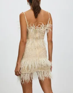 Rachel Gilbert Frenchy Mini Dress in Nude Size 3/AU12 for rent on The Volte - image 4