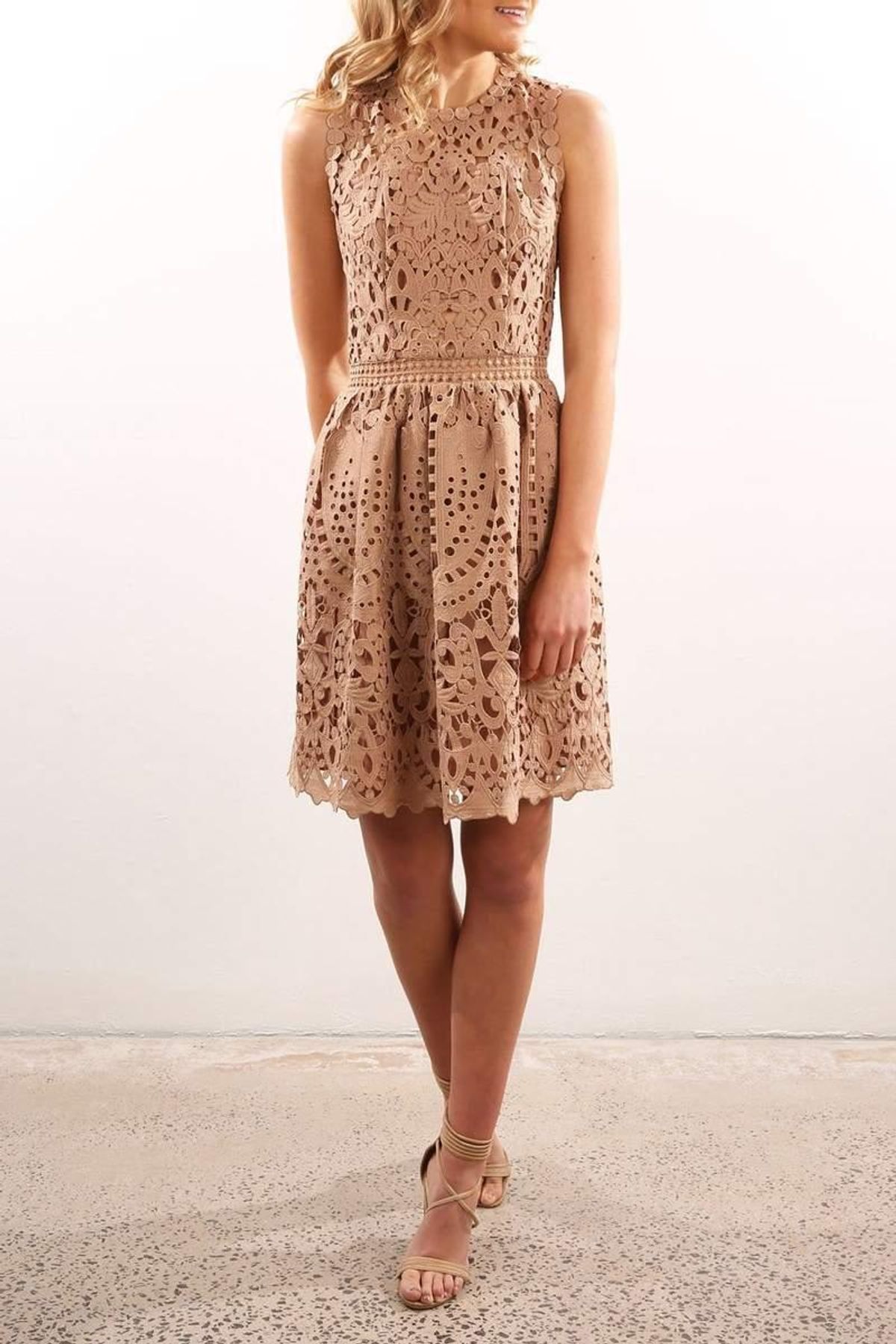 Ministry Of Style Lush Lace Dress Mocha Size 8 for rent on The Volte - main image
