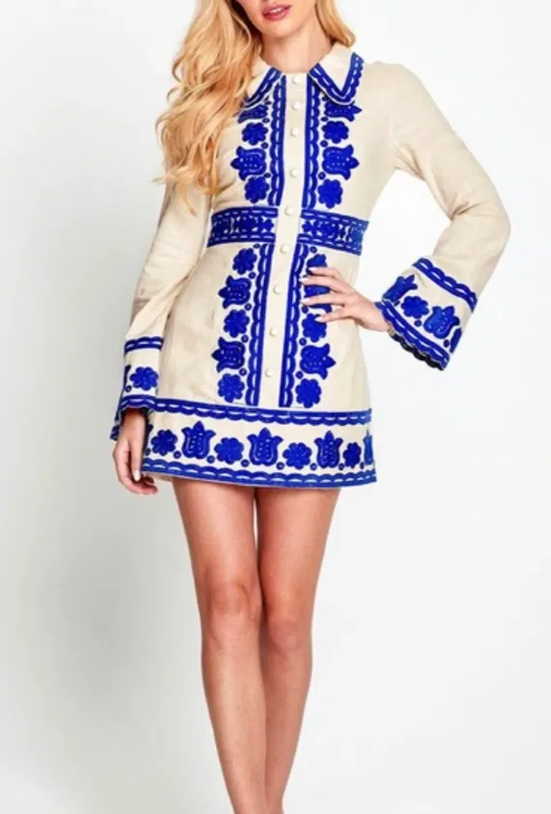 Alice McCall Wild Horses Mini Jacket Dress Blue Embroidery Size 8 / S for rent on The Volte - main image