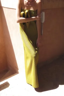Camilla and Marc Izaro Maxi Dress Yellow Brown Size 10  for rent on The Volte - image 4