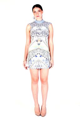 Camilla Lost in a Dream Cap Sleeve Dress Print Size 8 for rent on The Volte - image 1