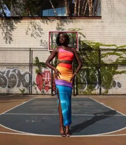 Farai London x Revolve Tala Maxi Dress Multi Size XS / Au 6 for rent on The Volte - image 2