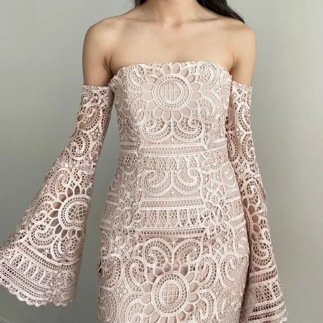 Nicholas Eva Geo Floral Lace Strapless Dress Antique Pink Size 0 / Au 6 for rent on The Volte - main image