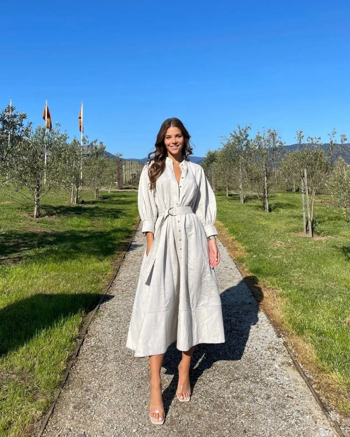 Sheike Piper Dress Beige Size 6 for rent on The Volte - main image