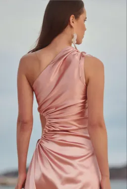 Sonya Moda Nour Blush Maxi Dress Blush Size 12  for rent on The Volte - image 3