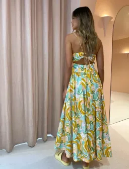 Steele Jasmine Dress Multi Print Size 6 for rent on The Volte - image 4