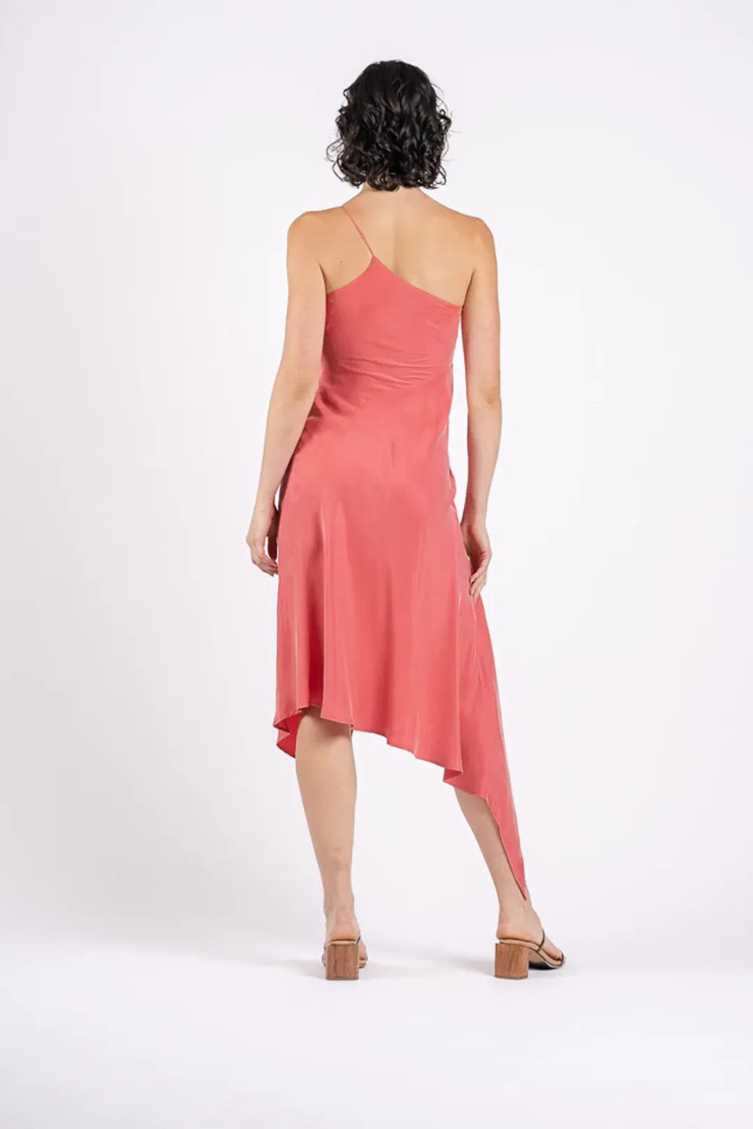 One Fell Swoop Huntress Dress In Strawberry Size 10 for rent on The Volte - main image