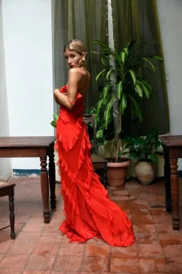 Rat & Boa Cecelia Dress Red Maxi Dress Red Size S/AU 8 for rent on The Volte - image 5
