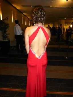 Rose Noir Halter Formal Floor Length Gown Red Size 8 for rent on The Volte - image 4