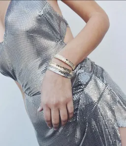 Fannie Schiavoni Izabel Mesh Dress Silver Size 8/10 for rent on The Volte - image 5
