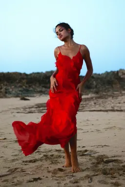 Rat & Boa Cecelia Dress Red Size S / AU 8 for rent on The Volte - image 1