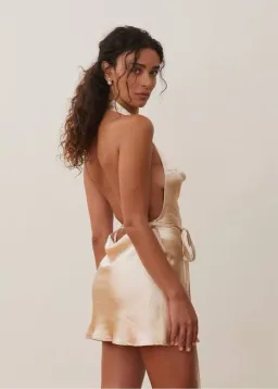 Arcina Ori Daniela Mini Dress Champagne Size XS / AU 6 for rent on The Volte - image 4